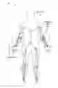 Fig. 01 - WEARABLE SENSOR BASED BODY MODELING
