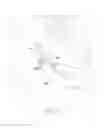 Fig. 44 - Tissue repair device