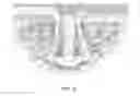 Fig. 31 - Dual expansion anchor
