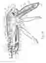 Fig. 06 - Surgical stapler with fixed jaw support pin