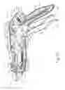 Fig. 08 - Surgical stapler with fixed jaw support pin
