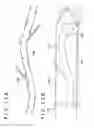 Fig. 16 - MEDICAL DEVICE AND METHOD