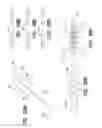Fig. 46 - MEDICAL DEVICE AND METHOD