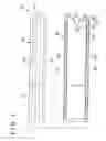 Fig. 02 - Medical device and method