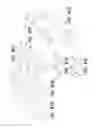 Fig. 49 - Medical device and method