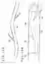 Fig. 16 - MEDICAL DEVICE AND METHOD