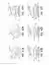 Fig. 41 - Medical device and method