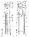 Fig. 05 - MEDICAL DEVICE AND METHOD