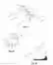 Fig. 03 - Systems and Methods for Correcting Spinal Deformity
