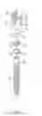 Fig. 02 - Uniplanar bone screw