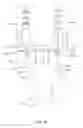 Fig. 17 - Uniplanar bone screw