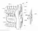 Fig. 01 - Flanged interbody fusion device with fastener insert and retaining ring