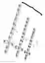 Fig. 06 - Orthopedic bone plate system