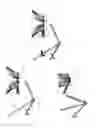 Fig. 10 - Orthopedic bone plate system