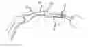 Fig. 01 - Dip fusion spike screw