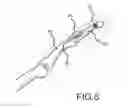 Fig. 08 - Dip fusion spike screw