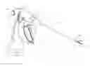 Fig. 01 - Switch assemblies for multi-function surgical instruments and surgical instruments incorporating the same