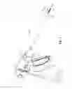 Fig. 02 - Switch assemblies for multi-function surgical instruments and surgical instruments incorporating the same