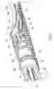Fig. 32 - DEVICES, SYSTEMS AND METHODS FOR TREATING TISSUE REGIONS OF THE BODY