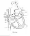 Fig. 17 - Method of surgical perforation via the delivery of energy