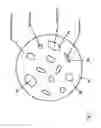 Fig. 06 - Method for producing a dental restoration