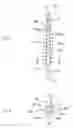 Fig. 05 - Method for manufacturing an interdental cleaning tool and the interdental cleaning tool