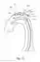Fig. 10 - Embolic protection device and method