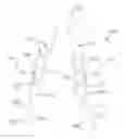 Fig. 01 - Systems and methods for preparing reinforced graft constructs