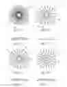 Fig. 06 - Ocular mask having selective spectral transmission