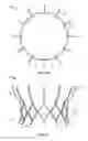 Fig. 14 - Two-stage collapsible/expandable prosthetic heart valves and anchoring systems