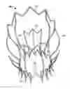 Fig. 01 - Collapsible/expandable prosthetic heart valves with native calcified leaflet retention features