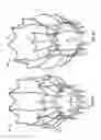 Fig. 05 - Collapsible/expandable prosthetic heart valves with native calcified leaflet retention features