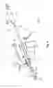 Fig. 07 - Systems for implanting an endoprosthesis