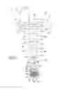 Fig. 10 - Implant Fixation Device