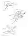 Fig. 06 - Ankle replacement system