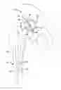 Fig. 01 - Trial prosthesis system