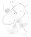 Fig. 02 - Lordosis Adjustable Back Brace Device