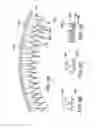 Fig. 04 - TONGUE GRASPING AND RESTRAINING APPARATUS AND METHODS
