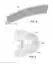 Fig. 05 - TONGUE GRASPING AND RESTRAINING APPARATUS AND METHODS