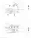 Fig. 05 - COMPRESSION BANDAGE FOR TREATING LYMPHATIC EDEMAS