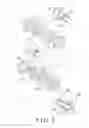 Fig. 04 - MASSAGING DEVICE