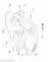 Fig. 13 - Methods and apparatus for adjusting blood circulation