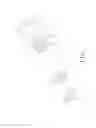Fig. 08 - TRUNCATED FEEDING TUBE