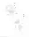 Fig. 09 - TRUNCATED FEEDING TUBE