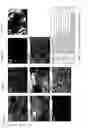 Fig. 08 - Method for creating a Mineral Trioxide Aggregate material with improved biological effects