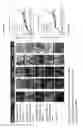 Fig. 09 - Method for creating a Mineral Trioxide Aggregate material with improved biological effects