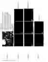Fig. 25 - Method for creating a Mineral Trioxide Aggregate material with improved biological effects