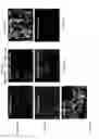 Fig. 28 - Method for creating a Mineral Trioxide Aggregate material with improved biological effects