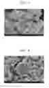Fig. 03 - COMPOSITE PIGMENT AND METHOD FOR PREPARATION THEREOF