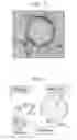 Fig. 04 - COMPOSITE PIGMENT AND METHOD FOR PREPARATION THEREOF